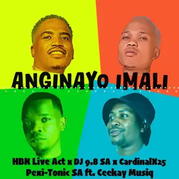 anginayo imali by HBK Live Act, Dj 9.8 SA, Cardinal X25 & Pexi-Tonic SA
