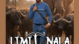 limit nala amabuffalo